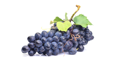 Üzüm Soğuk Hava Deposu