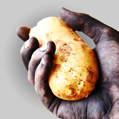 Patates Soğuk Hava Deposu