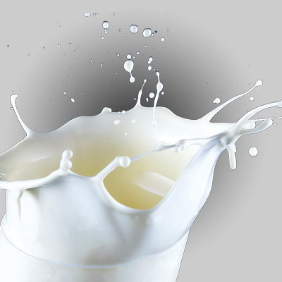 Entrepôt Frigorifique de Lait et des Produits Laitiers