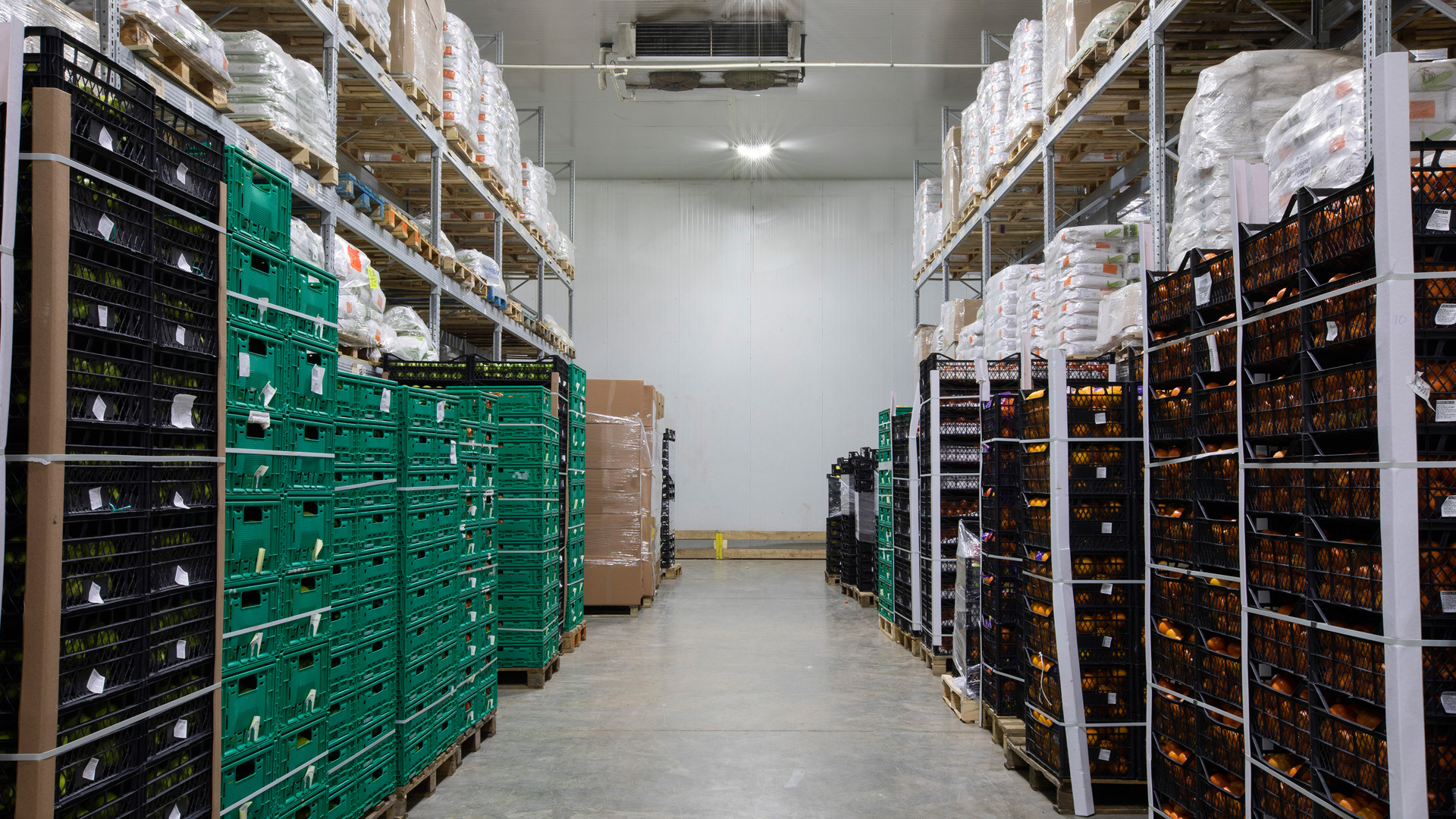 Industrial Cold Storage Room Shelves | Cantek Group