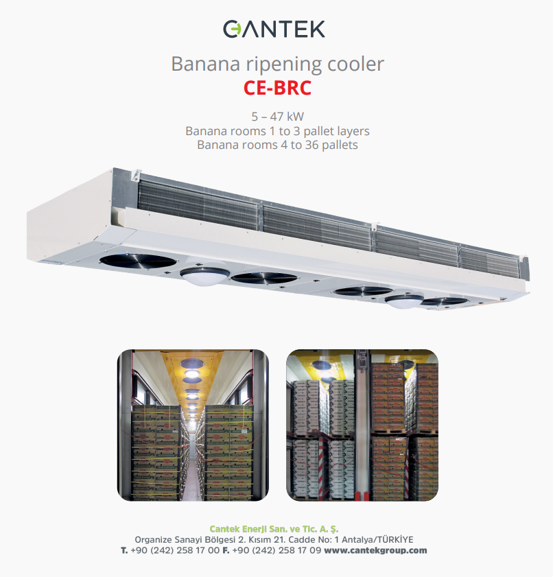 Banana Ripening Cooler