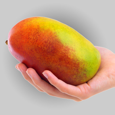 Mango Soğuk Hava Deposu