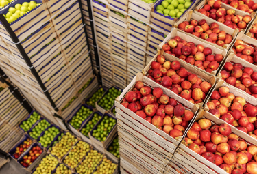 d’Entreposage Frigorifique sous Atmosphère Contrôlée