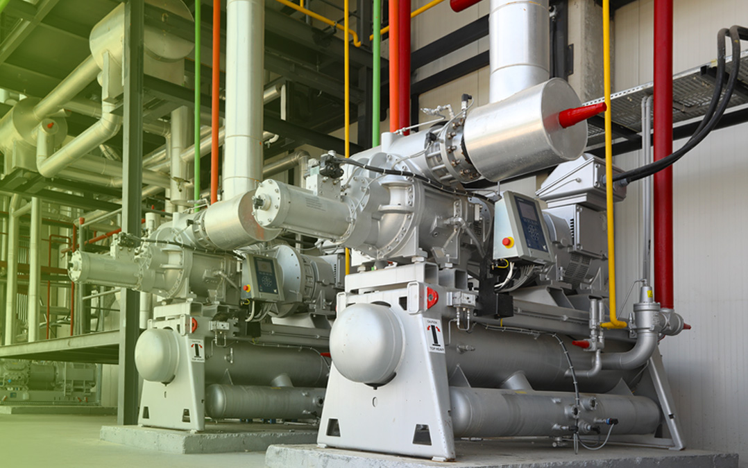 Nature View - Forest