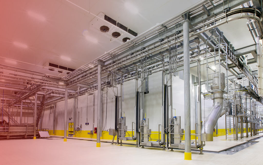 Nature View - Mountain